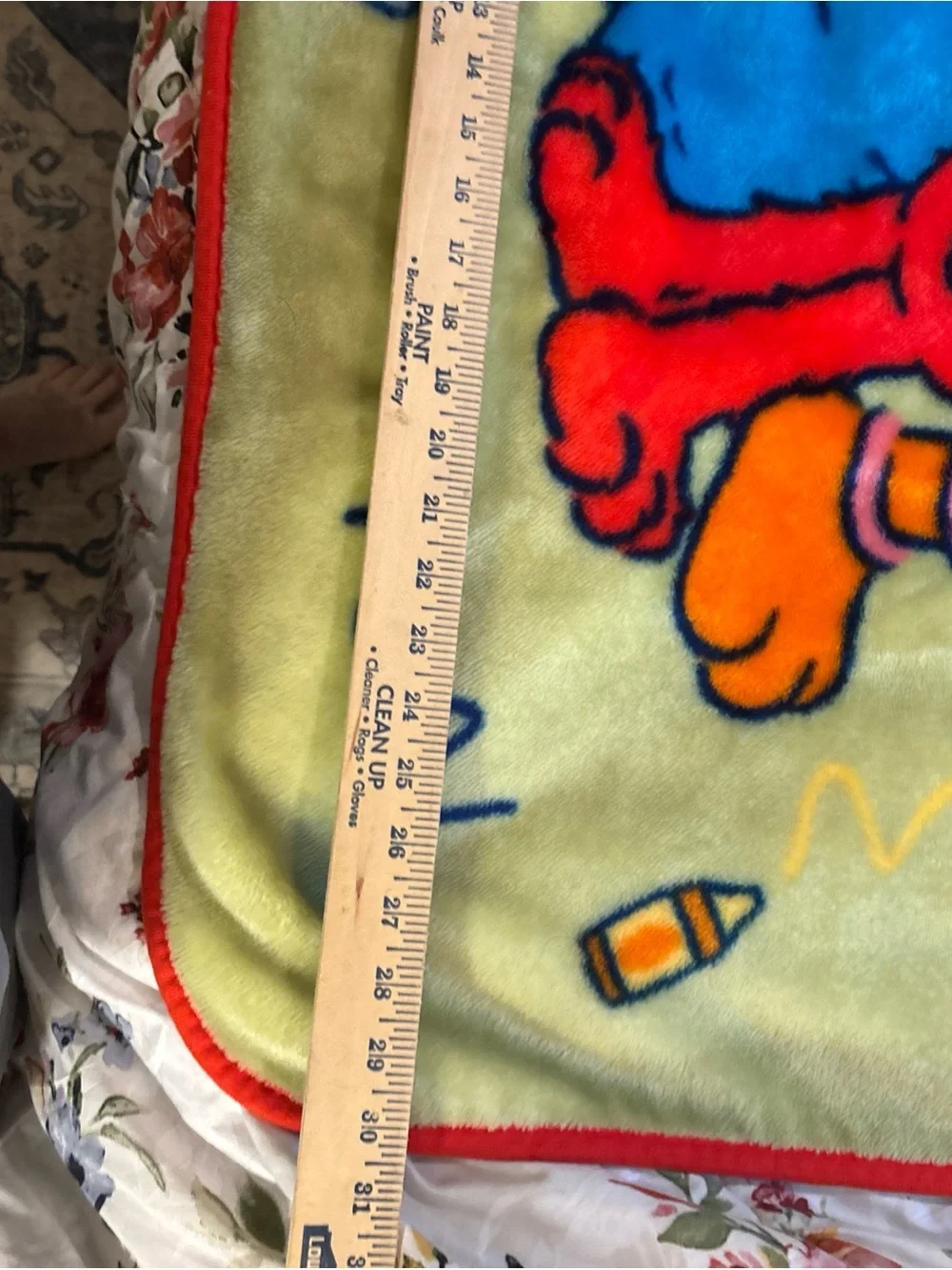 Sesame Street Plush Throw Blanket in Yellow, Blue, Red with Green Background